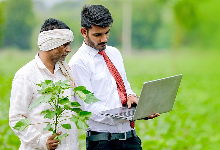 How to Start Fertilizer Dealership Step by Step